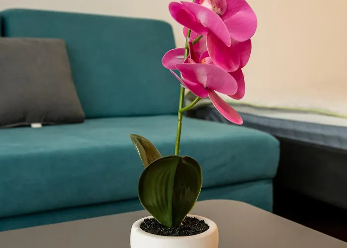 Delta Apartamento Ni